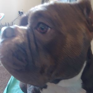 Meet your Posher, Maiya